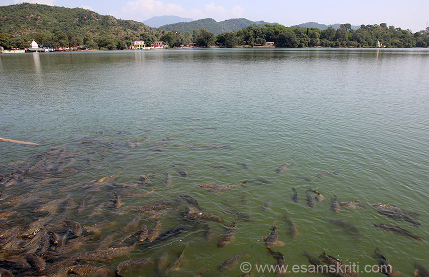 Surinsar Lake